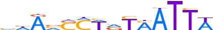 SP7.H13RSNP.0.P.D reverse-complement motif logo (SP7 gene, SP7_HUMAN protein)