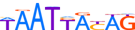 SP9.H13RSNP.0.P.B motif logo (SP9 gene, SP9_HUMAN protein)