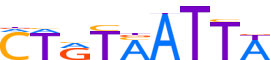 SP9.H13RSNP.0.P.B reverse-complement motif logo (SP9 gene, SP9_HUMAN protein)