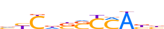 SRBP2.H13RSNP.1.P.B reverse-complement motif logo (SREBF2 gene, SRBP2_HUMAN protein)