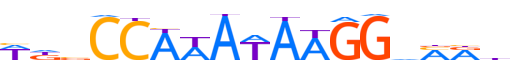 SRF.H13RSNP.0.PSM.A reverse-complement motif logo (SRF gene, SRF_HUMAN protein)