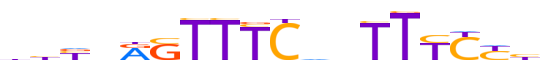 STAT1.H13RSNP.1.P.B motif logo (STAT1 gene, STAT1_HUMAN protein)