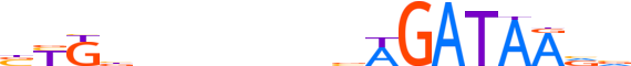 TAL1.H13RSNP.0.P.B motif logo (TAL1 gene, TAL1_HUMAN protein)