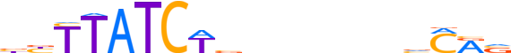 TAL1.H13RSNP.0.P.B reverse-complement motif logo (TAL1 gene, TAL1_HUMAN protein)