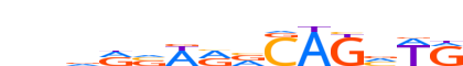 TAL1.H13RSNP.2.P.B motif logo (TAL1 gene, TAL1_HUMAN protein)