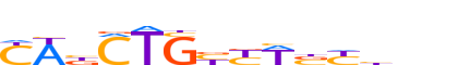 TAL1.H13RSNP.2.P.B reverse-complement motif logo (TAL1 gene, TAL1_HUMAN protein)