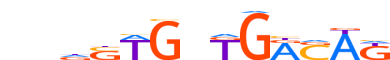 TBX20.H13RSNP.0.P.C motif logo (TBX20 gene, TBX20_HUMAN protein)