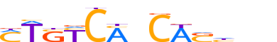 TBX20.H13RSNP.0.P.C reverse-complement motif logo (TBX20 gene, TBX20_HUMAN protein)