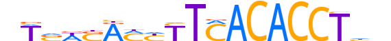 TBX20.H13RSNP.2.SM.B reverse-complement motif logo (TBX20 gene, TBX20_HUMAN protein)