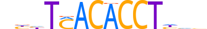TBX3.H13RSNP.0.PSM.A reverse-complement motif logo (TBX3 gene, TBX3_HUMAN protein)
