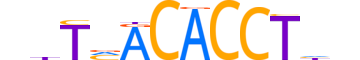 TBX6.H13RSNP.0.PSM.D reverse-complement motif logo (TBX6 gene, TBX6_HUMAN protein)