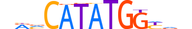 TCF21.H13RSNP.1.SM.B motif logo (TCF21 gene, TCF21_HUMAN protein)