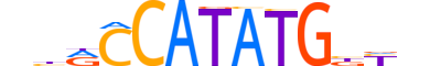 TCF21.H13RSNP.1.SM.B reverse-complement motif logo (TCF21 gene, TCF21_HUMAN protein)