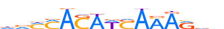 TCF7.H13RSNP.0.PSM.A motif logo (TCF7 gene, TCF7_HUMAN protein)