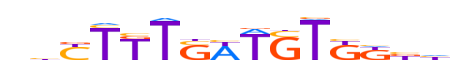 TCF7.H13RSNP.0.PSM.A reverse-complement motif logo (TCF7 gene, TCF7_HUMAN protein)