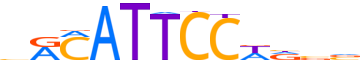 TEAD1.H13RSNP.0.PSM.A motif logo (TEAD1 gene, TEAD1_HUMAN protein)