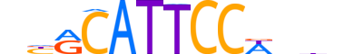 TEAD2.H13RSNP.0.PSM.A motif logo (TEAD2 gene, TEAD2_HUMAN protein)