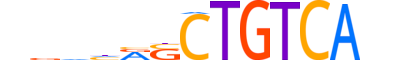 TF2LY.H13RSNP.0.SM.D reverse-complement motif logo (TGIF2LY gene, TF2LY_HUMAN protein)