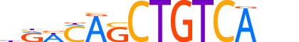 TF2LY.H13RSNP.1.SM.D reverse-complement motif logo (TGIF2LY gene, TF2LY_HUMAN protein)