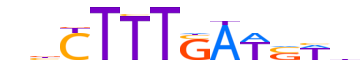 TF7L1.H13RSNP.0.PM.D motif logo (TCF7L1 gene, TF7L1_HUMAN protein)