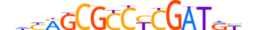 TF7L1.H13RSNP.2.S.D motif logo (TCF7L1 gene, TF7L1_HUMAN protein)