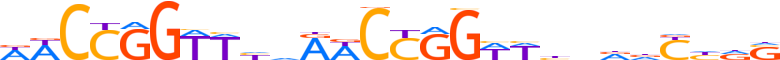 TFCP2.H13RSNP.0.SM.B reverse-complement motif logo (TFCP2 gene, TFCP2_HUMAN protein)