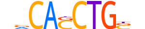 TFE2.H13RSNP.0.PS.D motif logo (TCF3 gene, TFE2_HUMAN protein)