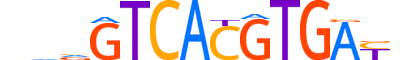 TFEC.H13RSNP.0.M.B motif logo (TFEC gene, TFEC_HUMAN protein)