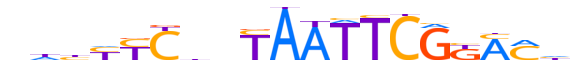 TIGD7.H13RSNP.0.SGIB.D motif logo (TIGD7 gene, TIGD7_HUMAN protein)