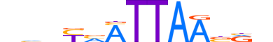 TLX3.H13RSNP.0.SM.B reverse-complement motif logo (TLX3 gene, TLX3_HUMAN protein)