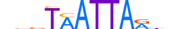 VAX2.H13RSNP.0.SM.B motif logo (VAX2 gene, VAX2_HUMAN protein)