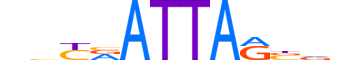 VENTX.H13RSNP.0.SM.B motif logo (VENTX gene, VENTX_HUMAN protein)