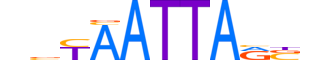 VSX1.H13RSNP.0.SM.B motif logo (VSX1 gene, VSX1_HUMAN protein)