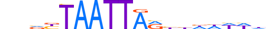 VSX1.H13RSNP.1.SM.B reverse-complement motif logo (VSX1 gene, VSX1_HUMAN protein)