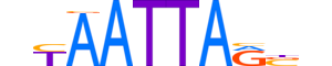 VSX2.H13RSNP.0.PSM.A motif logo (VSX2 gene, VSX2_HUMAN protein)