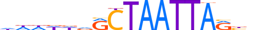 VSX2.H13RSNP.1.S.B reverse-complement motif logo (VSX2 gene, VSX2_HUMAN protein)