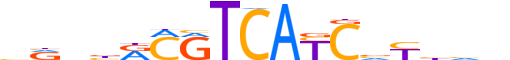 XBP1.H13RSNP.1.M.B reverse-complement motif logo (XBP1 gene, XBP1_HUMAN protein)