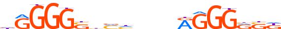 ZBTB41.H13RSNP.0.PSG.D motif logo (ZBTB41 gene, ZBT41_HUMAN protein)