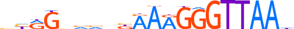 ZBTB47.H13RSNP.0.PSG.D motif logo (ZBTB47 gene, ZBT47_HUMAN protein)