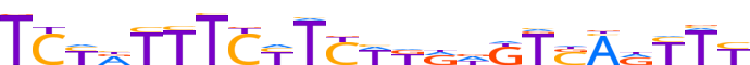 ZFP28.H13RSNP.0.P.D motif logo (ZFP28 gene, ZFP28_HUMAN protein)