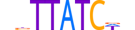 ZFPM1.H13RSNP.0.I.D motif logo (ZFPM1 gene, FOG1_HUMAN protein)