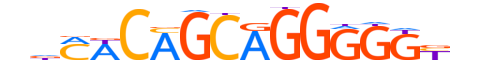 ZIC1.H13RSNP.1.M.B motif logo (ZIC1 gene, ZIC1_HUMAN protein)