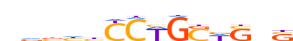 ZIC3.H13RSNP.0.P.B reverse-complement motif logo (ZIC3 gene, ZIC3_HUMAN protein)