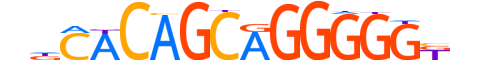 ZIC3.H13RSNP.2.M.B motif logo (ZIC3 gene, ZIC3_HUMAN protein)