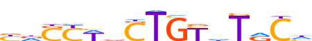 ZKSC8.H13RSNP.1.P.D motif logo (ZKSCAN8 gene, ZKSC8_HUMAN protein)