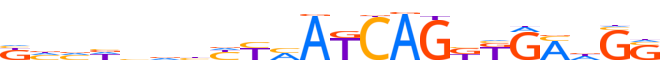 ZN134.H13RSNP.1.P.D motif logo (ZNF134 gene, ZN134_HUMAN protein)