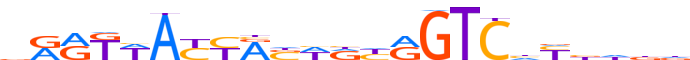 ZN433.H13RSNP.0.P.D motif logo (ZNF433 gene, ZN433_HUMAN protein)