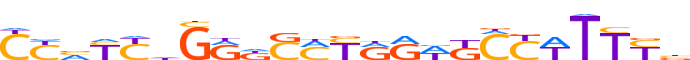 ZN454.H13RSNP.0.P.D motif logo (ZNF454 gene, ZN454_HUMAN protein)