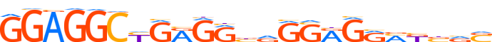 ZN770.H13RSNP.1.P.B motif logo (ZNF770 gene, ZN770_HUMAN protein)