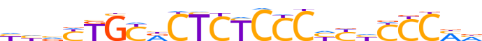 ZN880.H13RSNP.0.P.D motif logo (ZNF880 gene, ZN880_HUMAN protein)